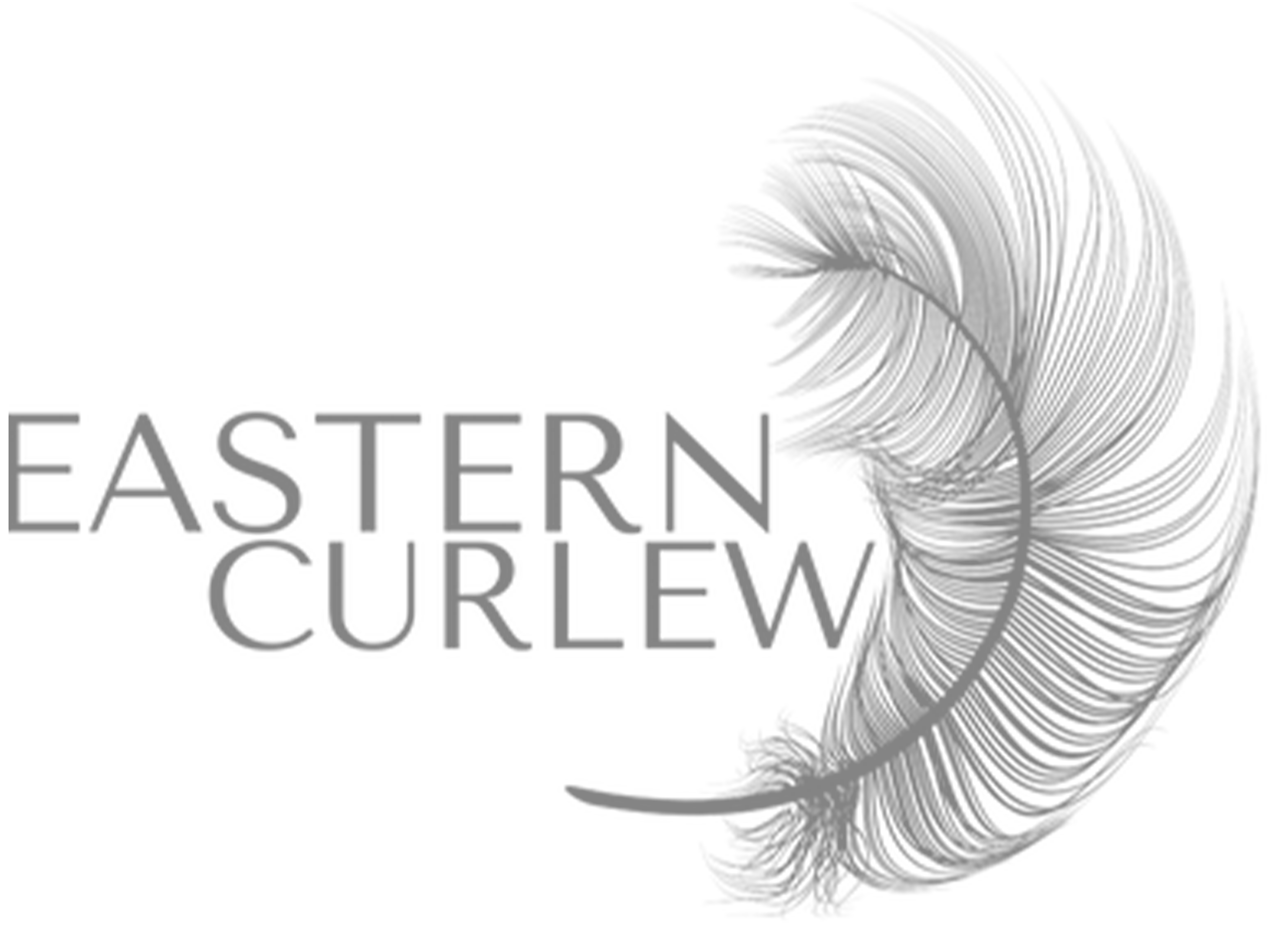 4-logo